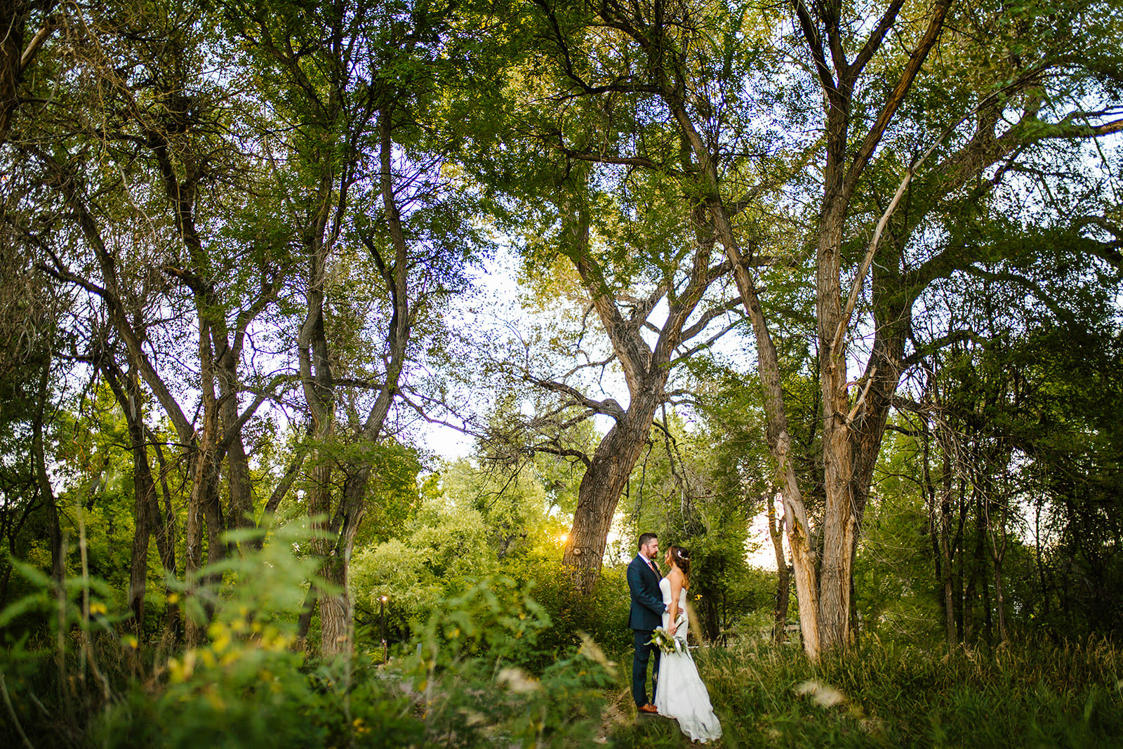 denver wedding photographers - denver botanic gardens chatfield wedding - alchemy creative